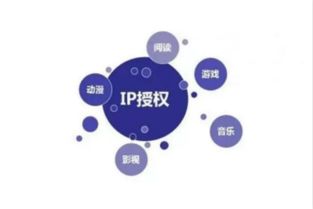 《新疆味道》 一部紀(jì)錄片的網(wǎng)絡(luò)文化創(chuàng)作與市場運營之道